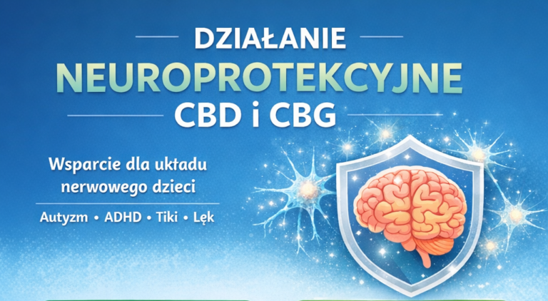 Read more about the article Neuroprotekcja i&nbsp;neuroplastyczność a&nbsp;terapia CBD I&nbsp;CBG 