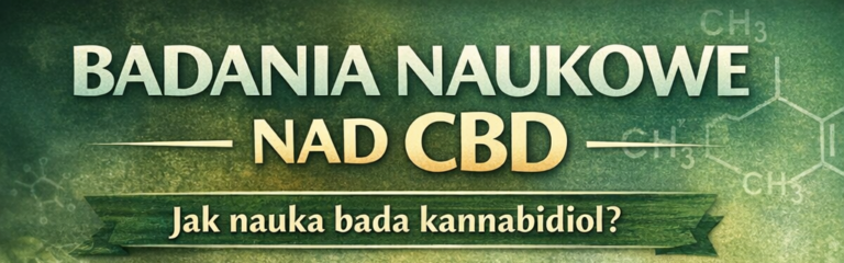 Read more about the article CBD w&nbsp;terapii – nauka, potencjał i&nbsp;rosnące zainteresowanie