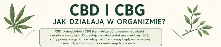 Read more about the article Dlaczego terapia działa, jeżeli jest stosowana regularnie?