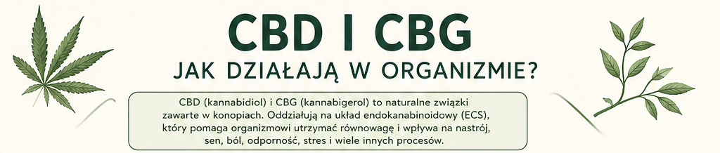 Read more about the article Dlaczego terapia działa, jeżeli jest stosowana regularnie?