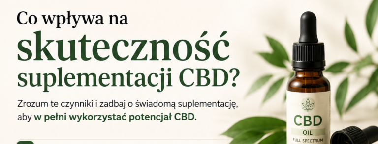 Read more about the article Co&nbsp;wpływa na&nbsp;skuteczność suplementacji CBD? 5 najważniejszych czynników
